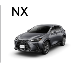 NX