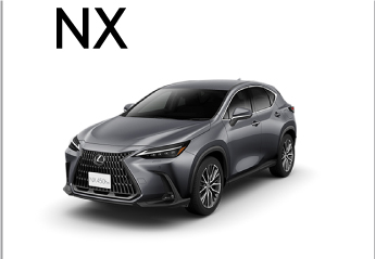 NX