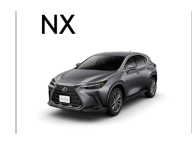 NX